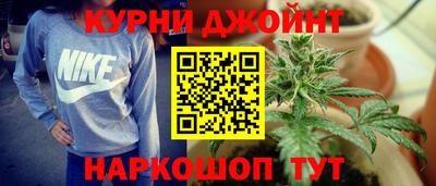 индика Чебаркуль