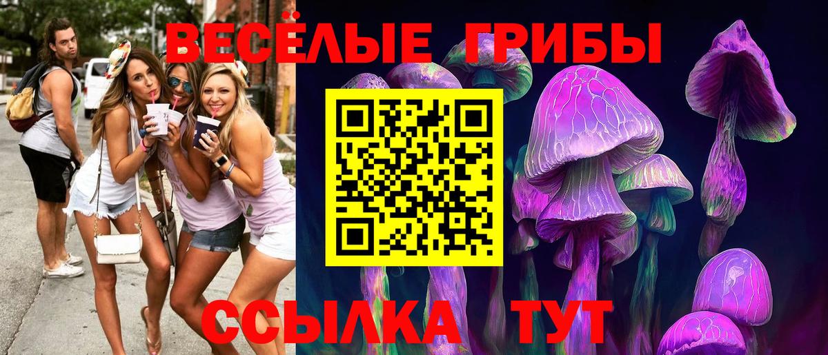 Аша  Галлюциногенные грибы GOLDEN TEACHER  магазин    Псилоцибиновые грибы мицелий  Вход с VPN 